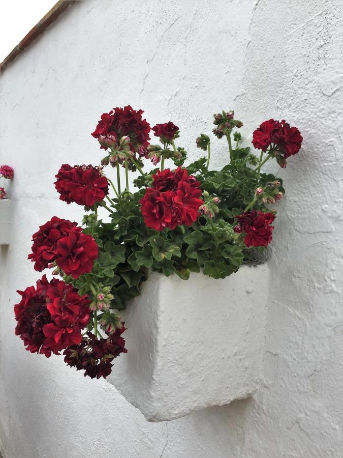 Casa Las Torres B&B Iznate Bagian luar foto